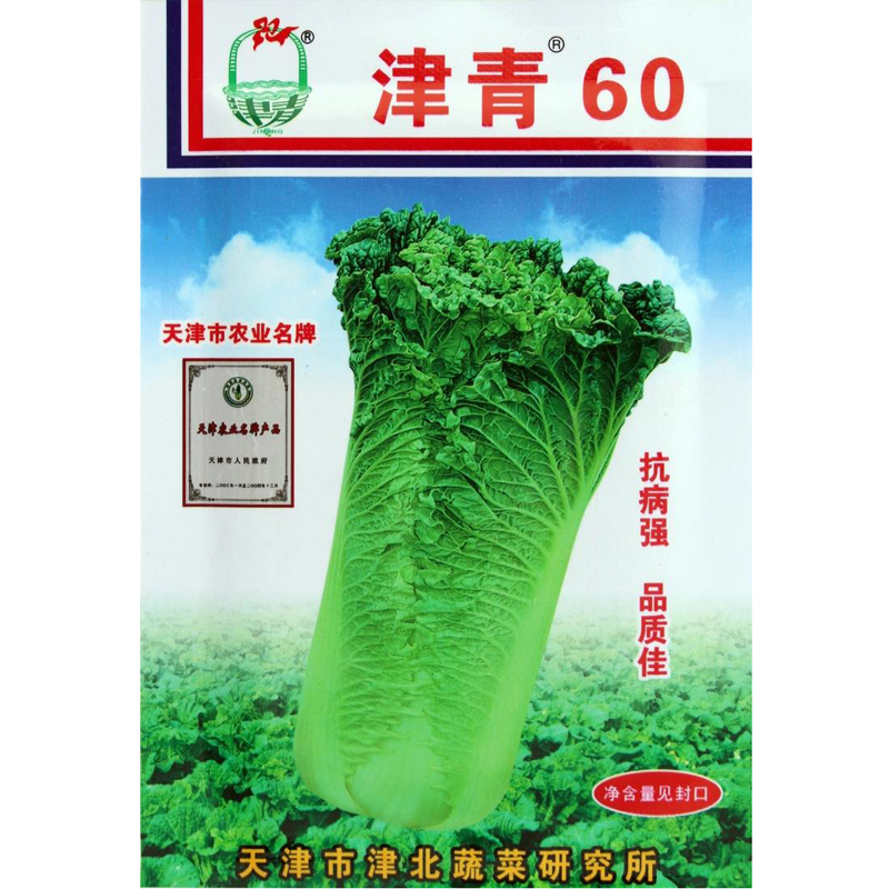天津青种子津60大青竹青麻叶早熟