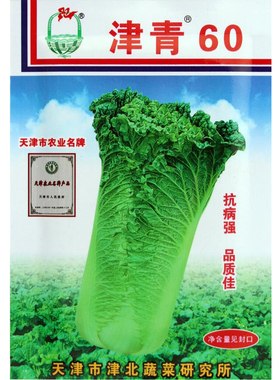 天津青种子津青60 大青麻叶种子 竹茼青麻叶种子 早熟大白菜种子