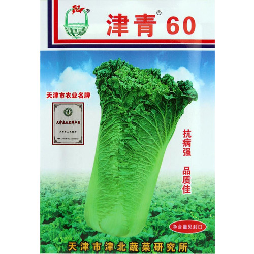 天津青种子津60大青竹青麻叶早熟