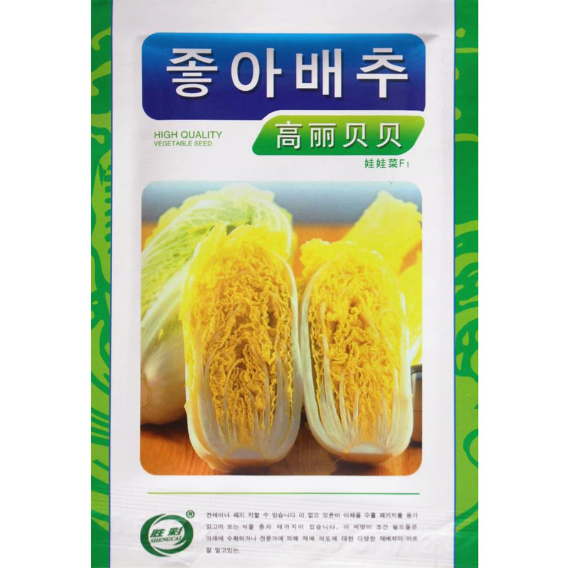 韩国进口娃娃菜种子 耐热耐寒早熟 四季高丽贝贝F140天迷你娃娃菜