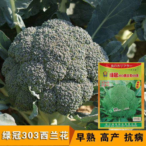 有机蔬菜品种价格 有机蔬菜品种图片 星期三