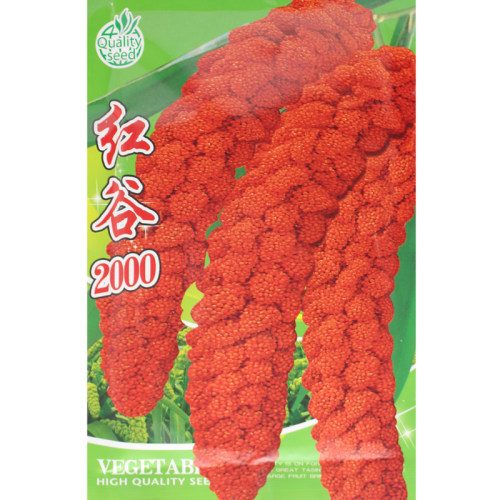 红谷小糯米抗病抗旱麻雀鸟种子
