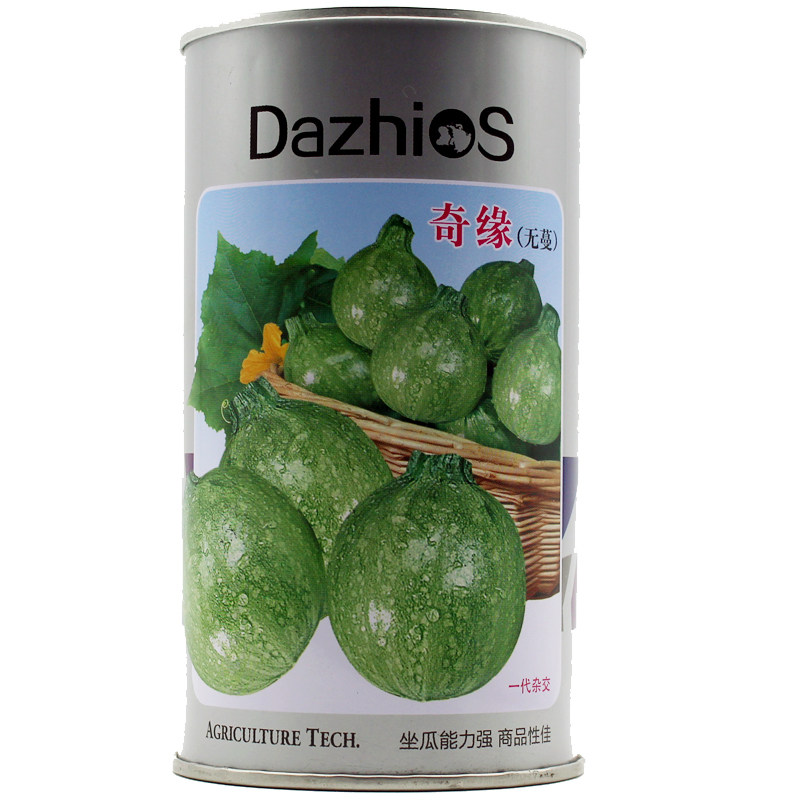 奇缘无蔓小南瓜早熟南瓜短藤无蔓小青瓜种子蔬菜蔬果种子盆栽阳台