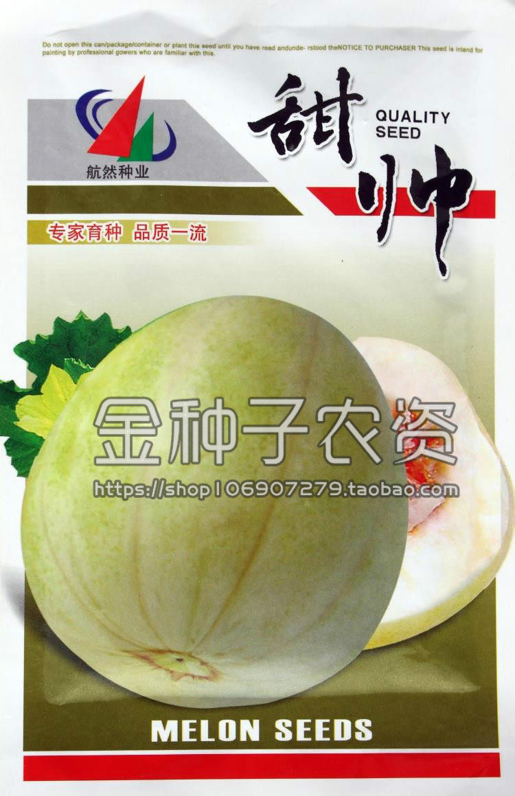白糖罐蔬果香瓜甜瓜种子白皮瓜图片
