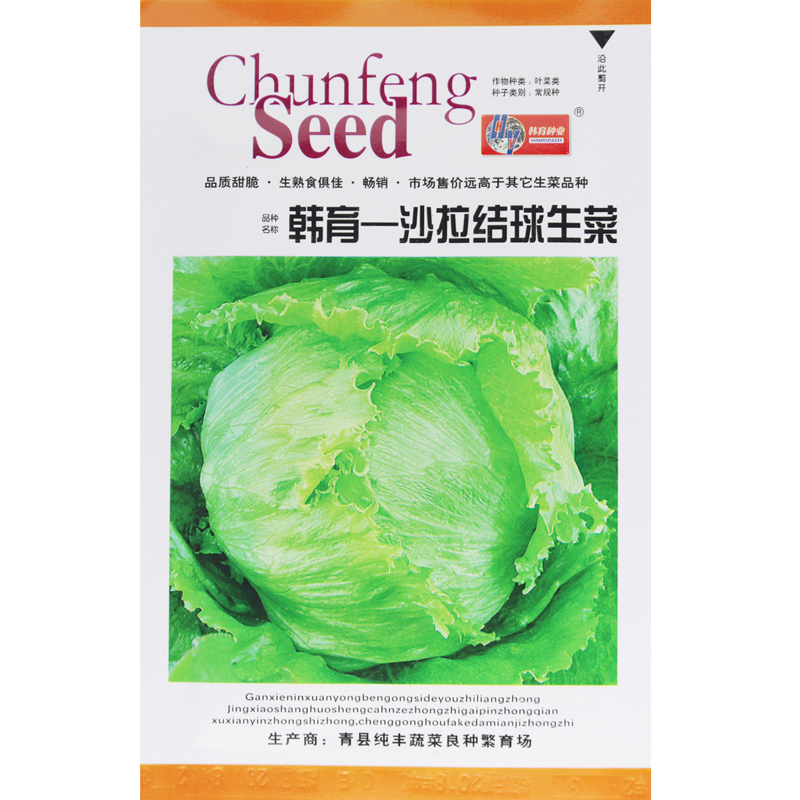 沙拉结球生菜种子 结球生菜种子生菜 包心生菜沙拉 叶球圆形 四季