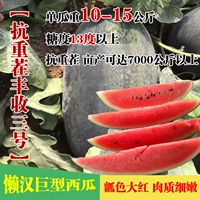 【Anti -Stubble Harvest № 3】 50 граммов консервированных банок