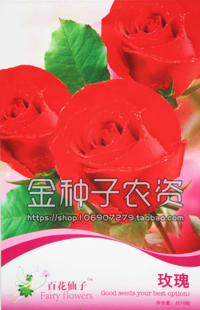 景觀盆栽花卉種子 紅玫瑰花種子 爬墻圍欄 玫瑰種子鮮花四季