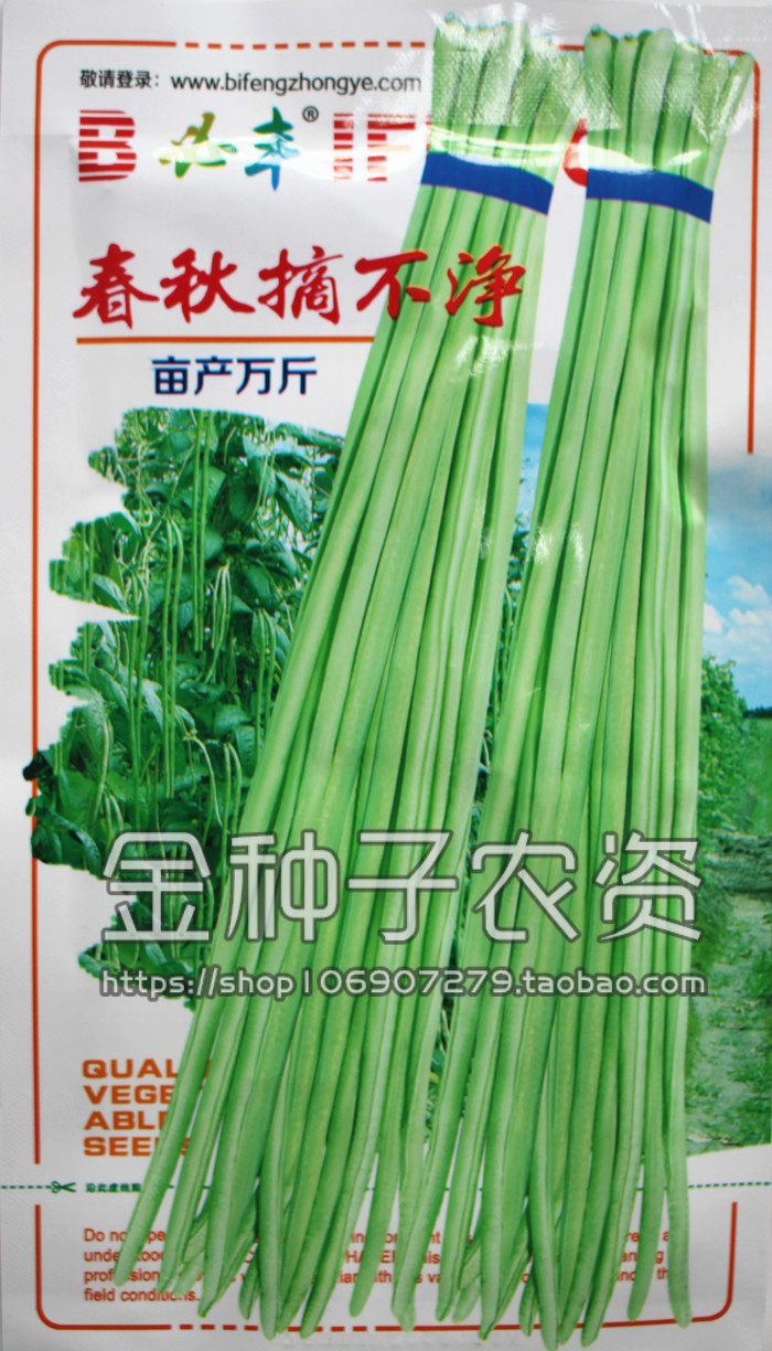 必丰春秋摘不净 长豆角种子 高产豇豆蔬菜种子架豆角种子亩产万斤