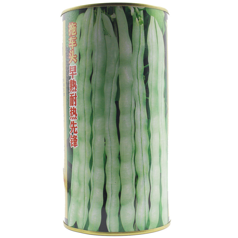 早熟耐热先锋无丝芸豆菜豆豆豆种
