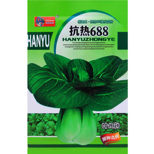 抗热688小油菜 播油菜小青菜蔬菜 青梗菜种子四季 青耐热耐寒四季