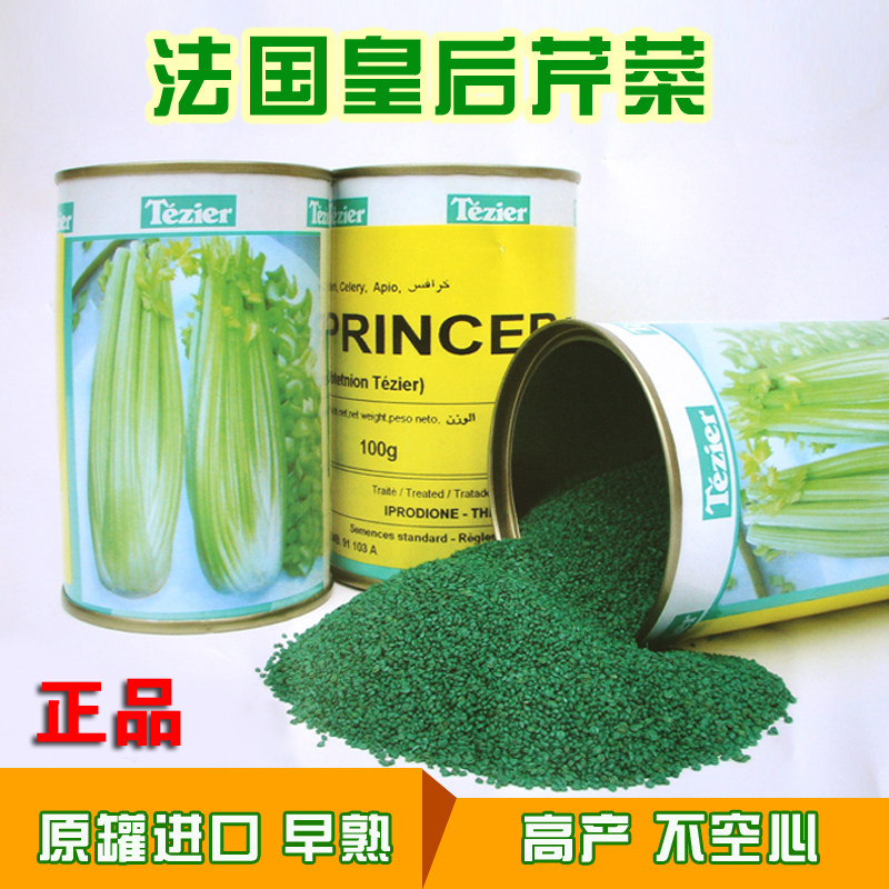 皇后 芹菜种子法国clsue公司原装进口西芹种子 100g原装铁桶 r