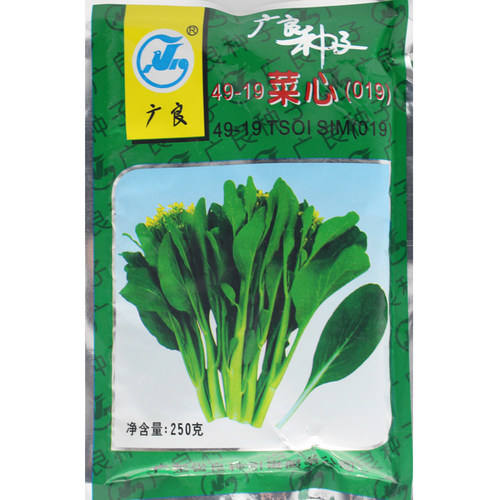 49-19四九生长迅速28天收获菜心