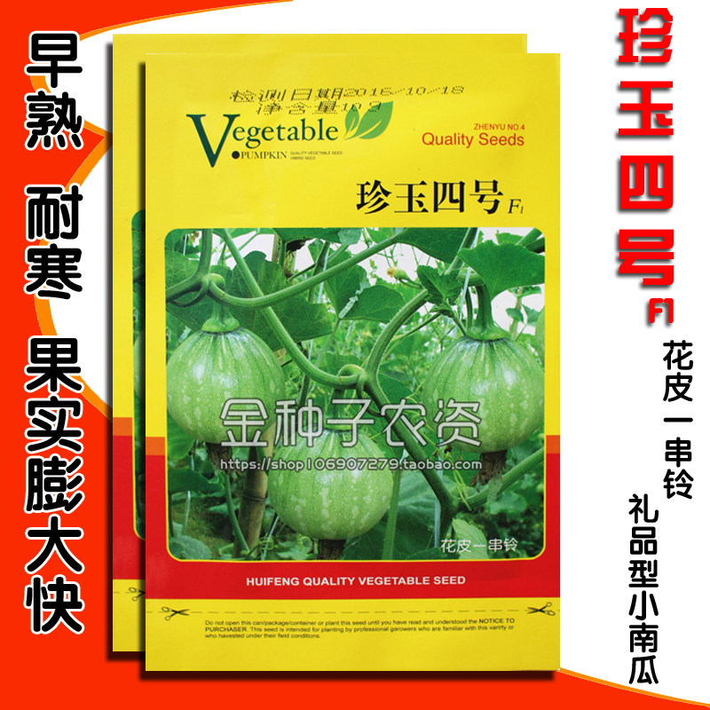 寿光蔬菜种子春季青皮一串铃南瓜种子珍玉四号F1小南瓜种 子