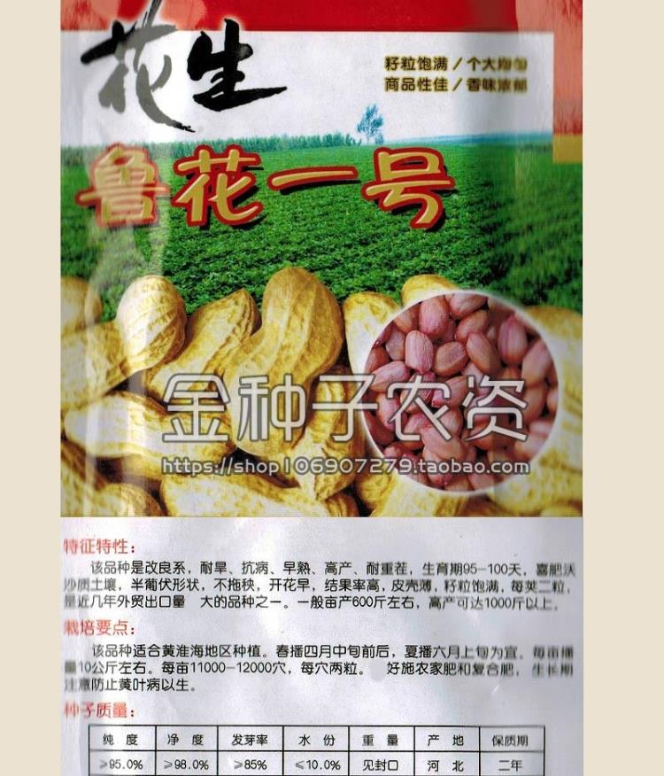 一号抗病早熟耐重茬春季花生种子