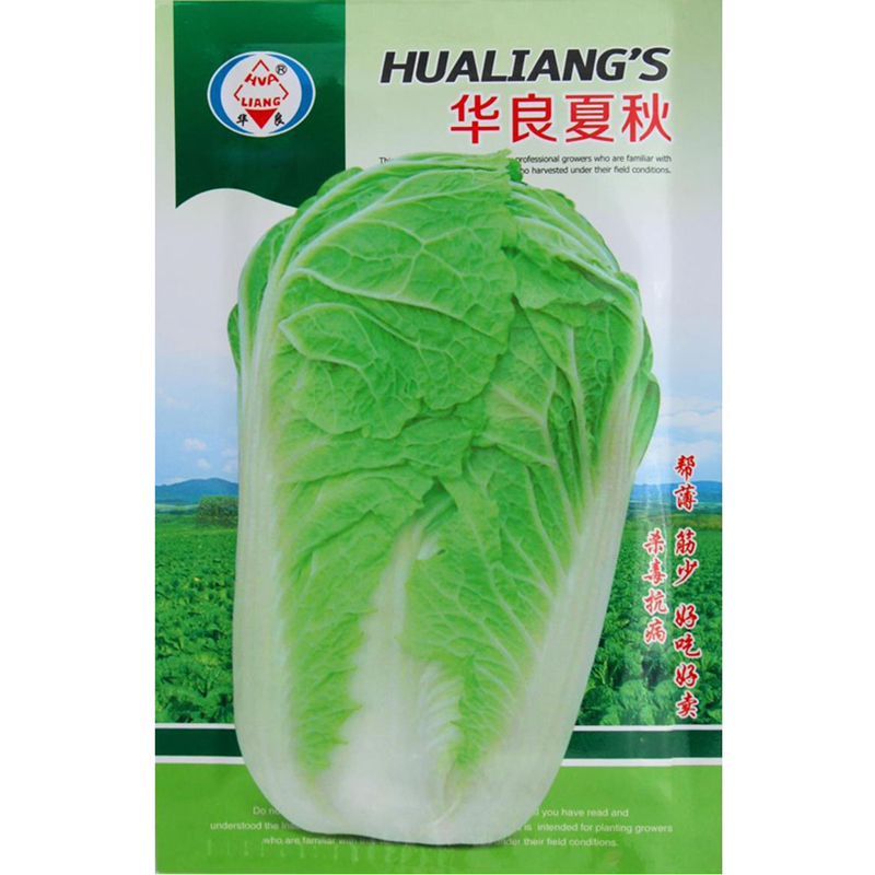 【华良夏秋】秋季播白菜种子夏季耐热帮薄筋少抗病大白菜种子秋播