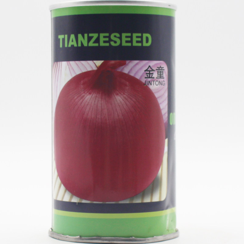 高产红皮洋葱种子 高桩元葱种子 圆葱头籽 金童 基地种植100克/罐