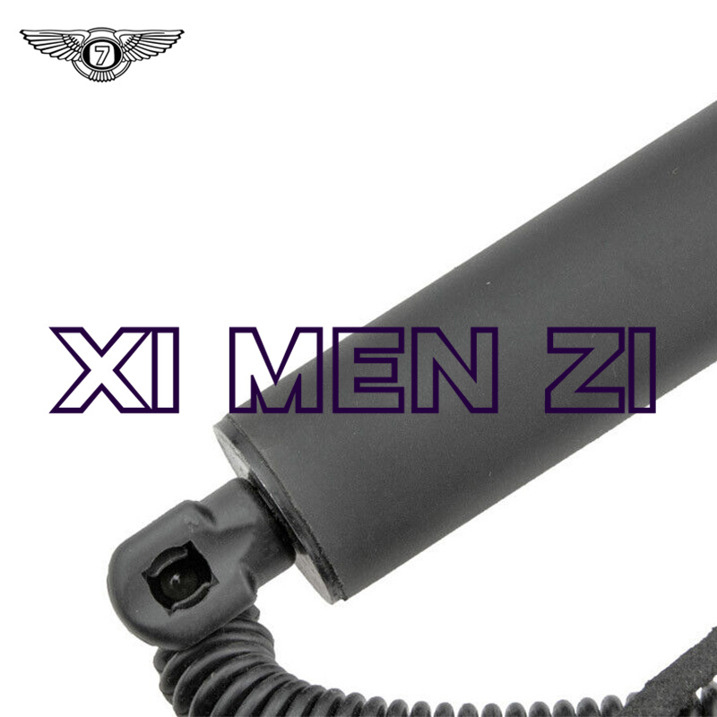 DS73N402A55AE DS73N402A74AC适用于福特蒙迪欧 尾门电动撑杆LHRH