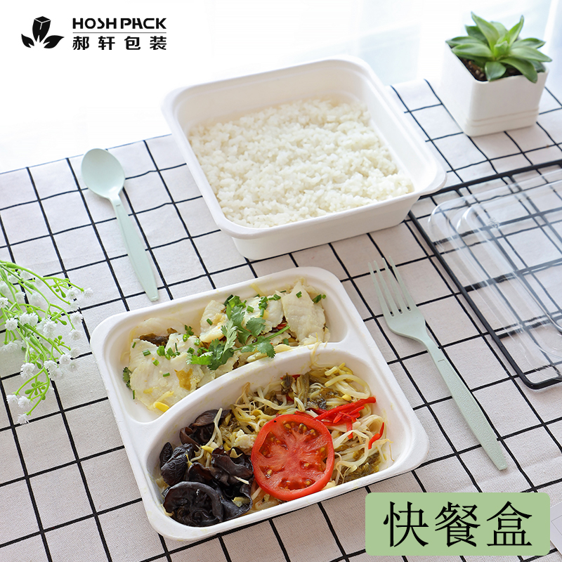 环保可降解双层外卖方形快餐盒