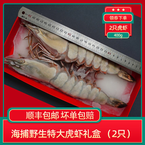 1只2只礼盒生冻特大黑虎虾
