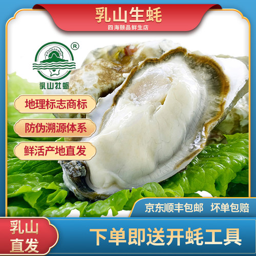 3+精品乳山生蚝5斤海鲜新鲜牡蛎海蛎子海鲜水产贝类烧烤食材顺丰