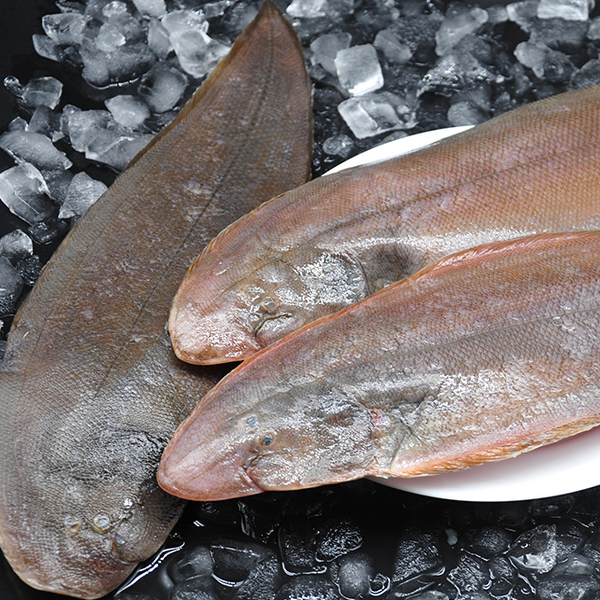 超大海捕带皮龙利鱼5条