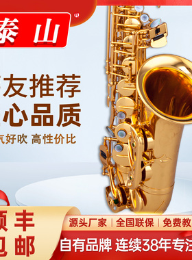 泰山中音萨克斯管乐器风初学者正品考级演奏高品质TSAS-9902降e调