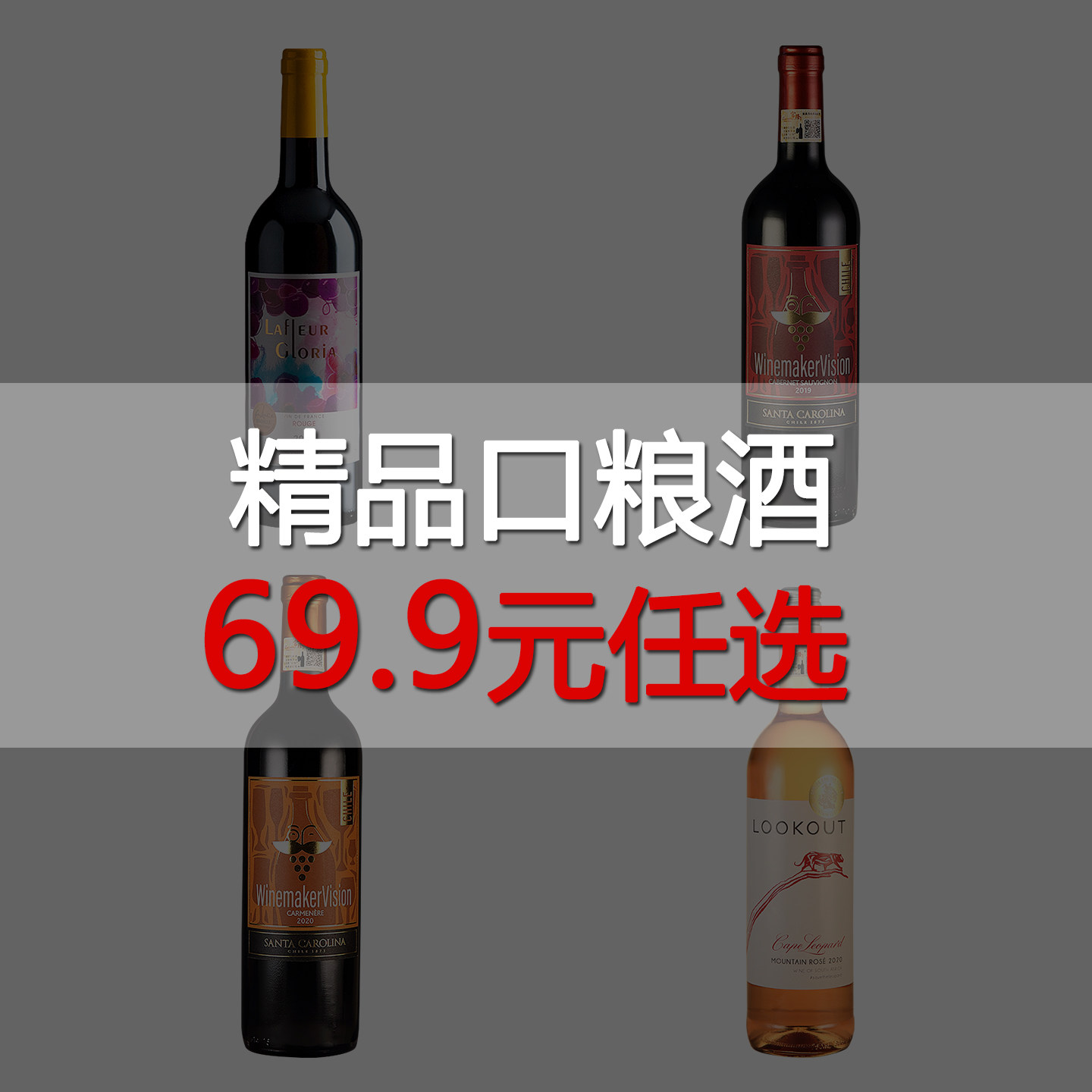 富隆精品口粮酒美食爱好者餐酒性价比智利红酒入门之选法国干红