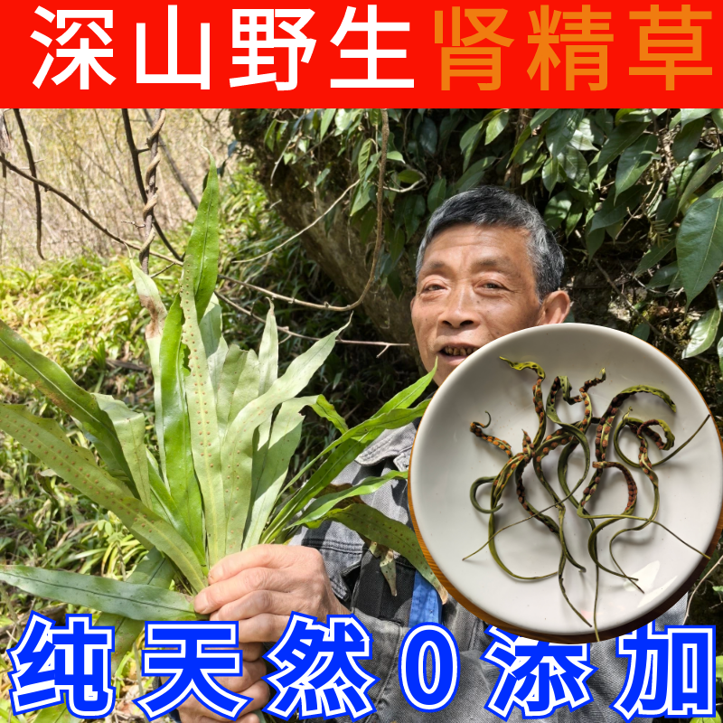 正宗纯野生特级肾精茶0添加