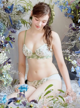 2型圆盘胸Risa Magli正品聚拢文胸少女内衣大钢圈圆杯中鸡心250