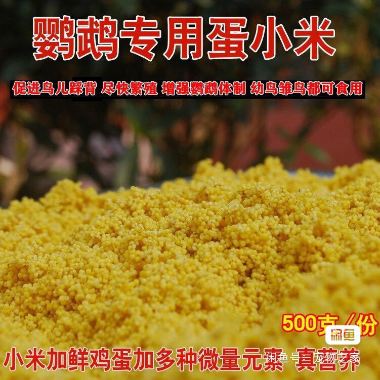 蛋小米鸡蛋米无壳黄小米玄凤牡丹鹦鹉促进踩背繁殖饲料鸟食