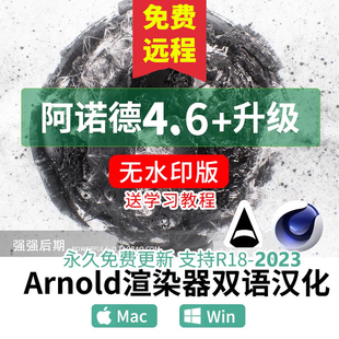 教程WIN MAC Arnold中文汉化版 C4D阿诺德渲染器插件 R23R22R21R20