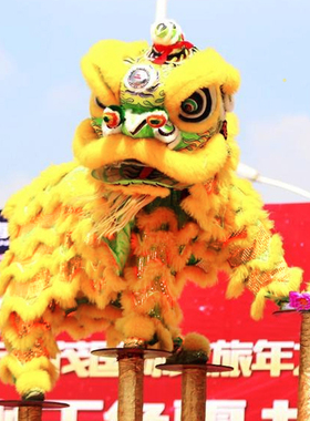 舞狮道具整套舞狮子佛山舞狮醒狮用品南狮醒狮头成人全套双人单人