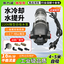 220V设备配套水循环电动隔膜自吸水泵BSP40160TAC 新为诚厂家直销