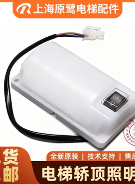 电梯轿顶照明灯德凌RKL220/5T-01井道灯固定式灯具通用检修箱