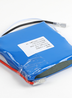 SJ2B3C SJ3B3C 12V 4.0AH/6.0AHSnga电动松闸装置锂电池无机房EPB