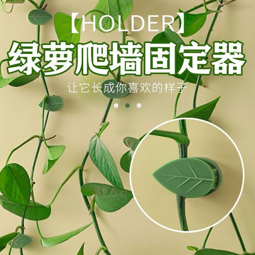 植物生长攀爬无痕自粘绿植固定夹绿萝爬墙神器爬藤固定工具叶子夹