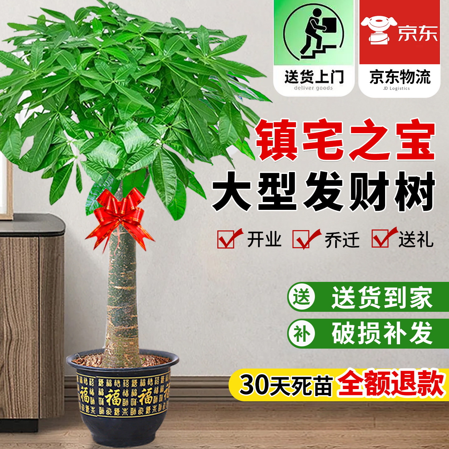 发财树大型盆栽室内绿植客厅大棵植物步步高招财树办公室乔迁开业