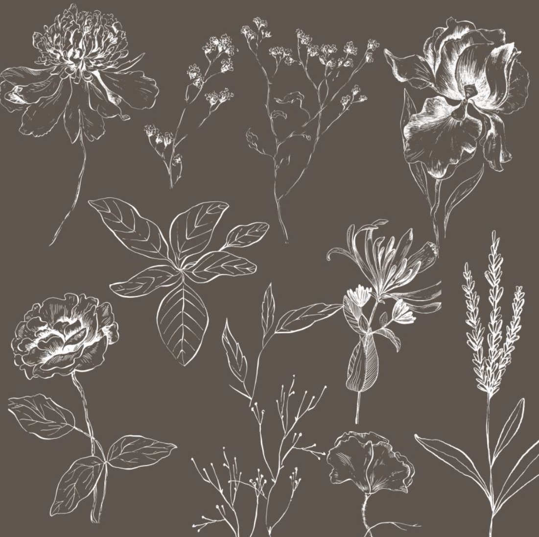 449婚礼手绘线条花卉绿植叶子矢量线稿psd模板源文件素材