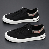 透气休闲鞋 潮小白鞋 男鞋 百搭正品 夏季 低帮帆布鞋 2023新款 懒人布鞋