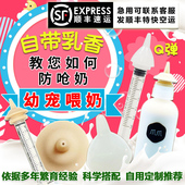 美国奇迹奶嘴宠物喂奶神器小猫咪小奶猫幼猫专用奶嘴奶瓶喝喂奶器