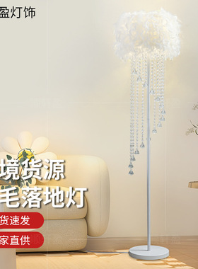 亚马逊网红羽毛落地灯氛围感客厅灯床头柜装饰立式水晶流苏落地灯