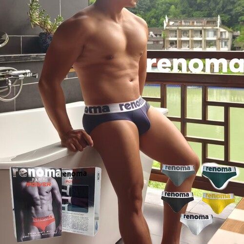 renoma网孔透气男士三角裤男士大囊袋u凸修身显瘦运动速干男内裤