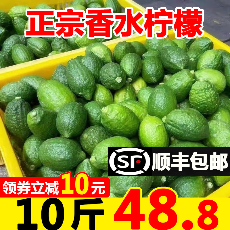 广东香水柠檬10斤新鲜现摘应当季水果青柠檬奶茶店专用顺丰包邮5