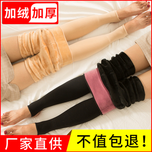 鲨鱼裤 打底裤 加绒女 肉色光腿一体外穿袜裤 秋冬春秋加厚薄款