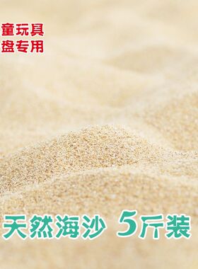 海沙天然细沙儿童玩具沙滩沙子鱼缸造景细沙子天然沙乌龟专用冬眠