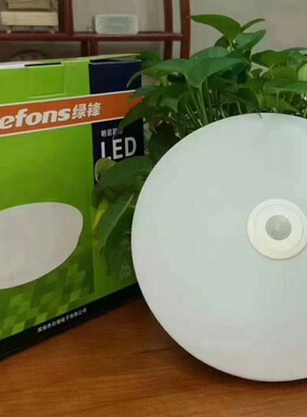 绿锋LED人体雷达感应吸顶灯24W红外线感应吸顶灯智能阳台楼梯节能