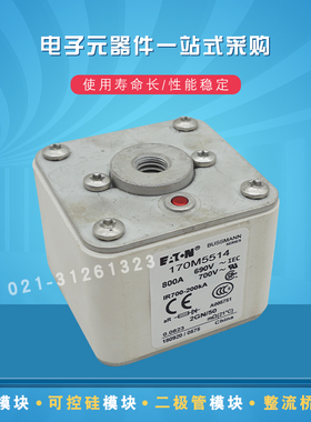 伊顿巴斯曼熔断器170M5567 5568 5569 5588 5589 5590 5591 5592