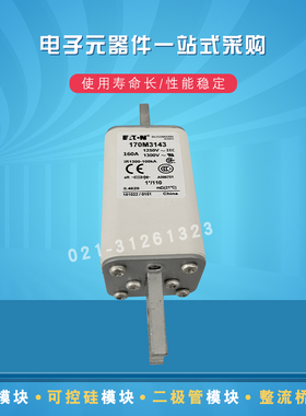 快速熔断器保险丝170M3144 3145 3146 3147 3148 3158 3159 3160