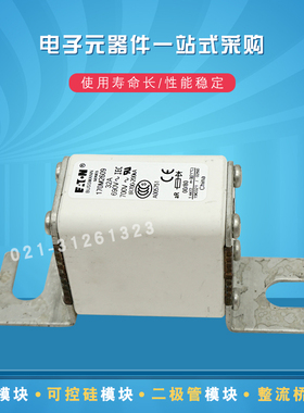 快速熔断器保险丝170M2608 2609 2610 2611 2612 2613 2614 2615