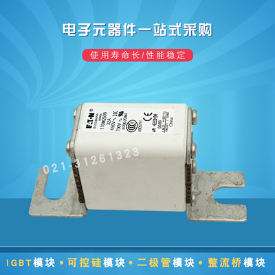 快速熔断器保险丝170M2608 2609 2610 2611 2612 2613 2614 2615